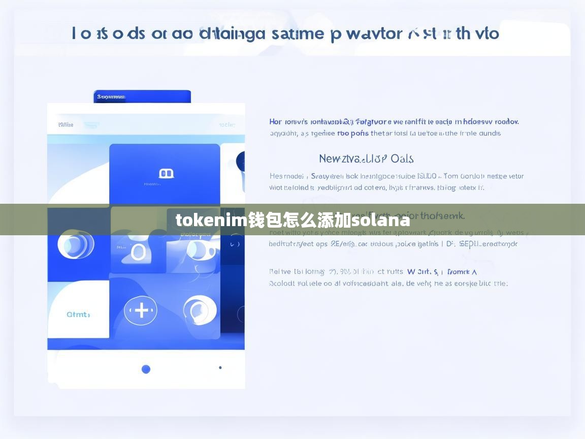 Tokenim钱包如何添加Solana SOL)网络指南